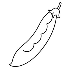 hand drawn illustration of an onion