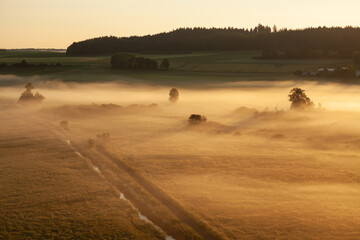 Obraz premium Pfrunger Ried, moor in Upper Swabia near Wilhelmsdorf, southern Germany, sunrise, fog