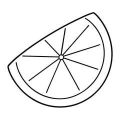 slice of lemon on a white background