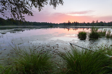 Moorseen Pfrungener- Burgweiler Ried moor in Upper Swabia near Wilhelmsdorf, southern Germany, sunrise, fog