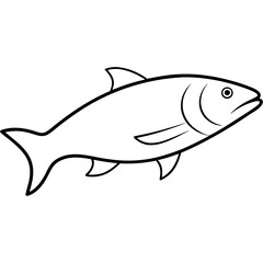 fish isolated on white