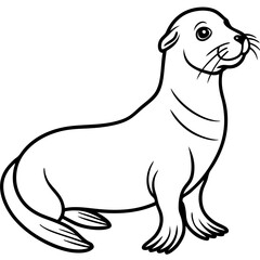 Cute Sea Lion Silhouette line art  black vector illustration
