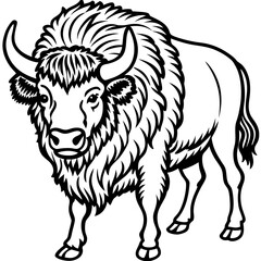 Cute Bison Silhouette line art  black vector illustration