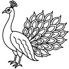 Cute Peacock Silhouette line art  black vector illustration