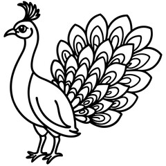 Cute Peacock Silhouette line art  black vector illustration