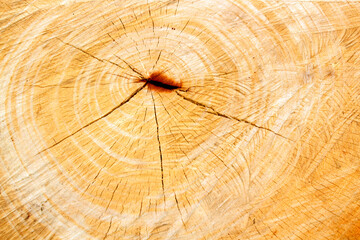 White old wooden wall, old wooden background