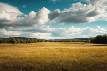 Fototapeta premium A serene landscape of green grass and towering trees, set against a blue cloud-filled sky