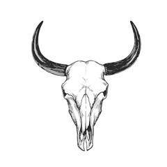 Vector hand-drawn bull skull in engraving style. Black and white sketch of animal bone. Wild west symbol.