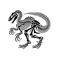  dinosaur skeleton fossil 