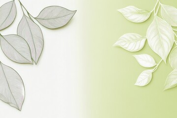Elegant pastel green and white leaves on a split background.