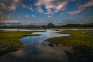 Marismas de Santoña