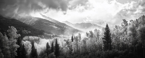Fall Aspen Forest in Black and White Panoramic Mountain Landscape. Golden tree leaves of a fall aspen forest contrasted against a black and white panoramic landscape scene in Colorado 