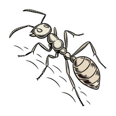 Close-up image of a black ant rendered in a polygonal style. The ants head and antennae are visible, with orange highlights adding detail