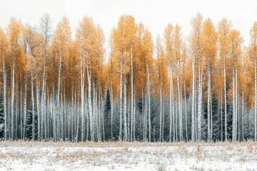 Close-up of advent wreath with two burning candles for second advent in preperation for christmas. Beautiful simple AI generated image
