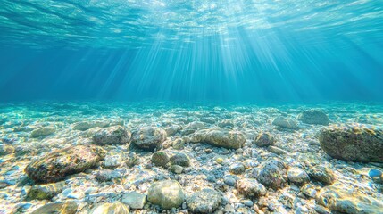 Fototapeta premium Sunbeams illuminate a rocky seabed underwater.