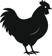 silhouette of a chicken on white background 