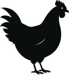 silhouette of a chicken on white background 