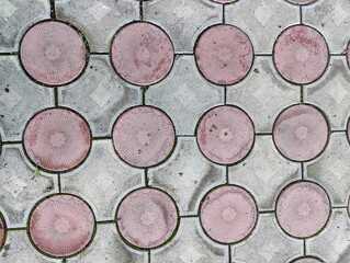 Interwoven Paths of Life: Circular and Rectangular Patterns on a Paved Surface Reflecting Harmony in Diversity