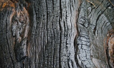 Black wood texture due to burn marks, suitable for your background
