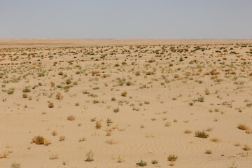 Vast desert landscape with sparse vegetation in Jowzjan Province, Afghanistan © Mieszko9