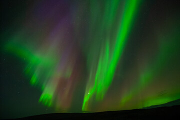 Aurora Borealis in Norwegen beim Arctic Circle Centre , 66° 33′ 55″ , Saltfjellveien...