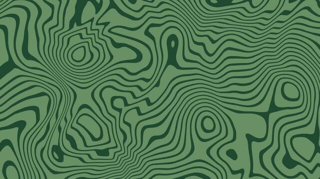 The background full of animated lines with wave motion, After effect