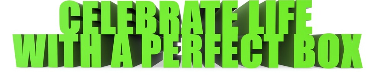 Celebrate Life with A Perfect Box, 3d text