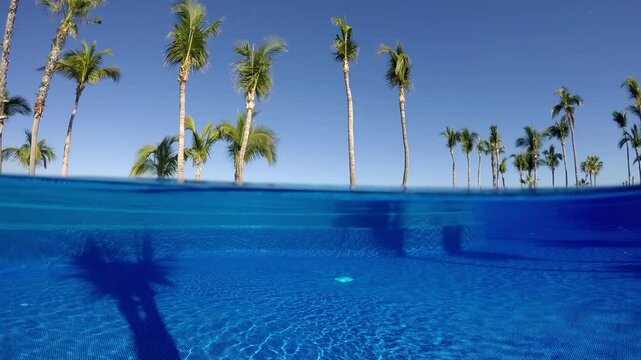swimming pool with trees in the background, split shot 50-50 over-under dome shot