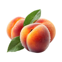 Appetizing and fresh Apricots in Gluten Free Baking  Isolated On Transparent Background 