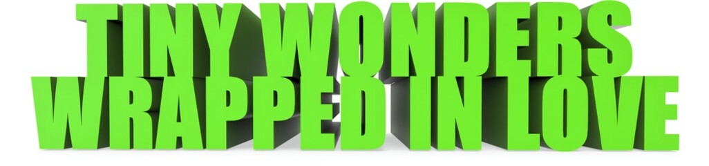 Tiny Wonders wrapped In Love, 3d text