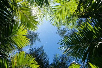 Fototapeta premium Looking up at a tranquil blue sky framed by lush, vibrant green fronds, the image evokes a sense of calm and immersion within nature's beauty.