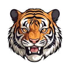 Tiger Illustration