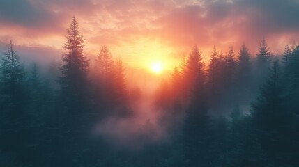 Naklejka premium Majestic sunrise paints foggy forest scene with vibrant colors.
