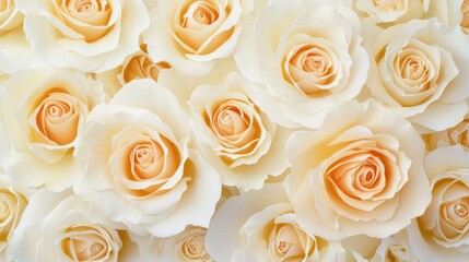 Soft Peach and White Roses with Delicate Petals Arrangement