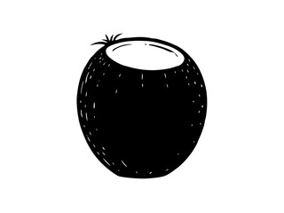 illustration of an coconut