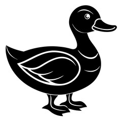 duck isolated on white