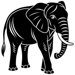 elephant isolated on white