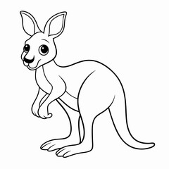 kangaroo illustration