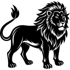 lion illustration