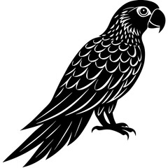 bird of prey