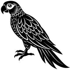 illustration of a bird