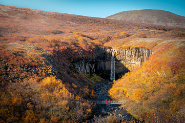 Autumn at Svartifoss Waterfall in Iceland