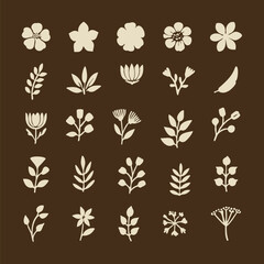 set of hand drawn floral design element