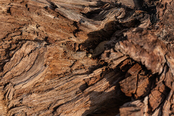 old wood background close up	