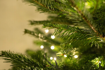 A close-up of a green Christmas tree branch, gently glowing with soft, twinkling lights. Ideal for holiday marketing, festive promotions, seasonal decor, and creating a cozy, winter atmosphere.