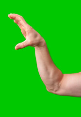 Hand raised against a vibrant green background