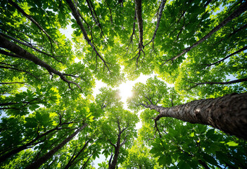 Fototapeta premium Green mangrove growth beneath, vital climate change solution, natural carbon filtration, promoting sustainable ecosystems