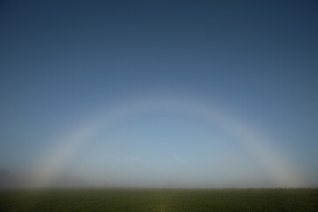 Der Nebelbogen oder weißer Regenbogen über einer Wiese und einem blauen Himmel.