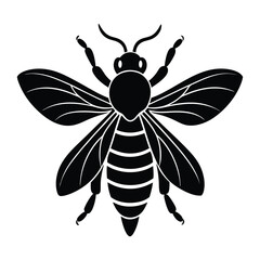 bee on white background.