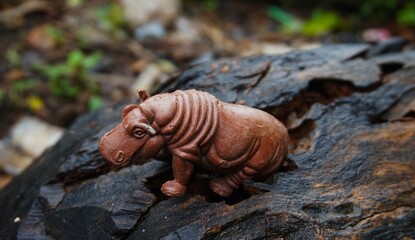 hippo toy, cute hippo toy in the photo on wood